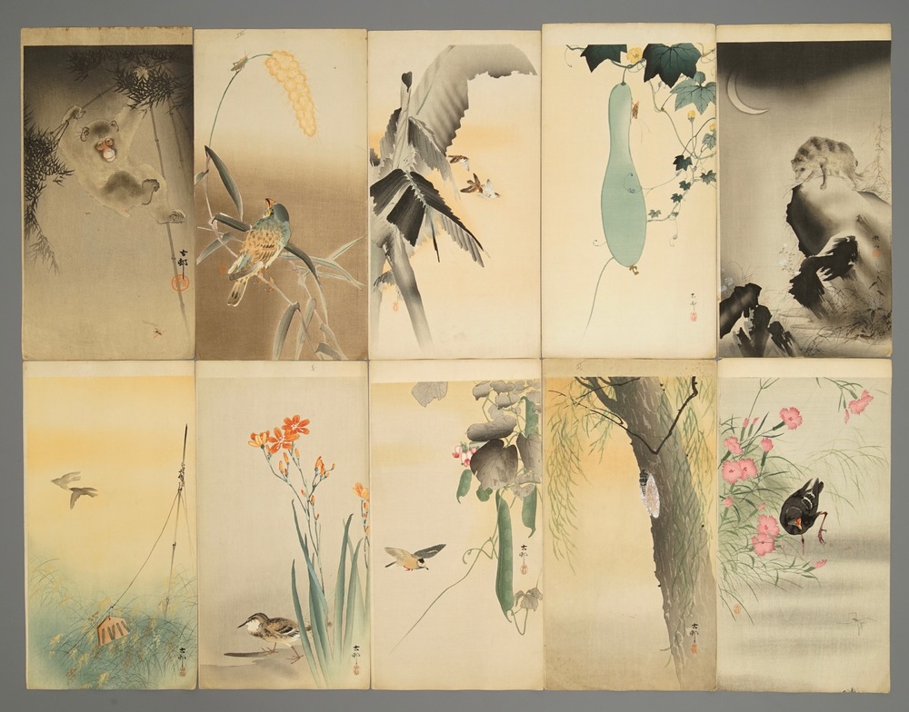 Dix aquarelles aux sujets d'animaux et fleurs, Japon, Meiji, 19/20&egrave;me