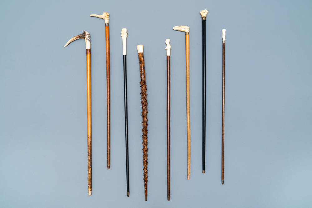 Eight mostly ivory-handled canes, one cactus cane, 19th C.
