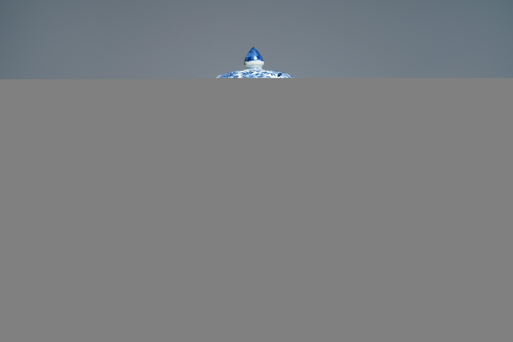 Een Chinese blauw-witte beker met deksel, Kangxi