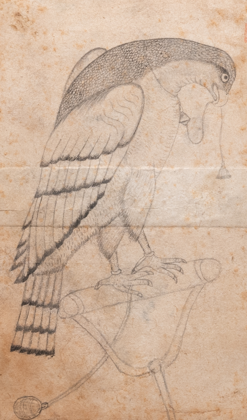 Miniature persane: 'Un faucon debout', crayon sur papier, 18/19&egrave;me