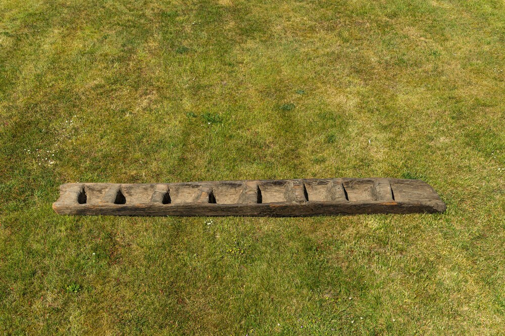 An African wooden ladder, 19/20th C.